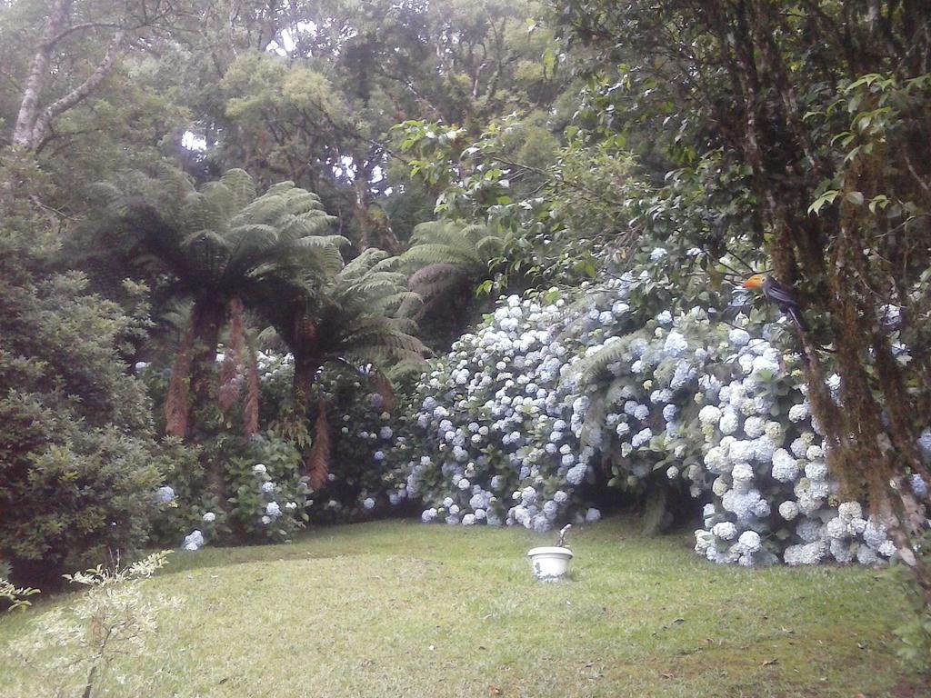 Nanda'S House Pousada Hotel Sao Francisco de Paula  Luaran gambar